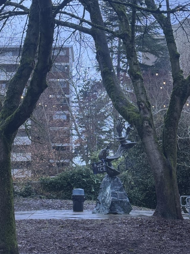 Spotted in cap hill