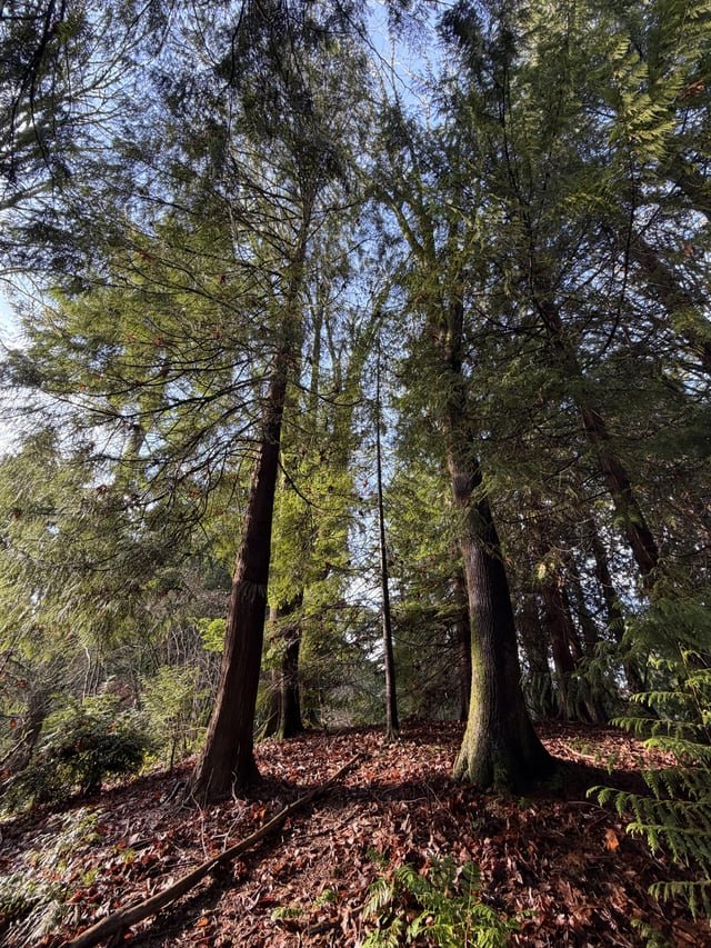It’s a fine day to visit the Arboretum