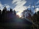So glad to be home after a month away. Really missed my Seattle hikes. I’m never leaving Seattle (again). Hope you all have a great weekend!