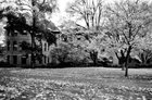 UW on B&W Film
