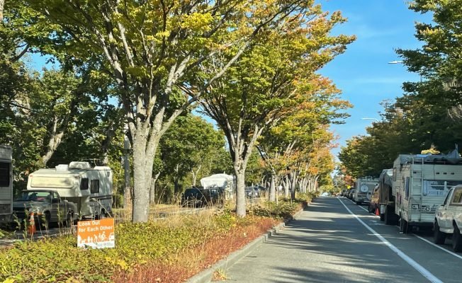 New parking restrictions on 16th SW? South Seattle College to host community discussion