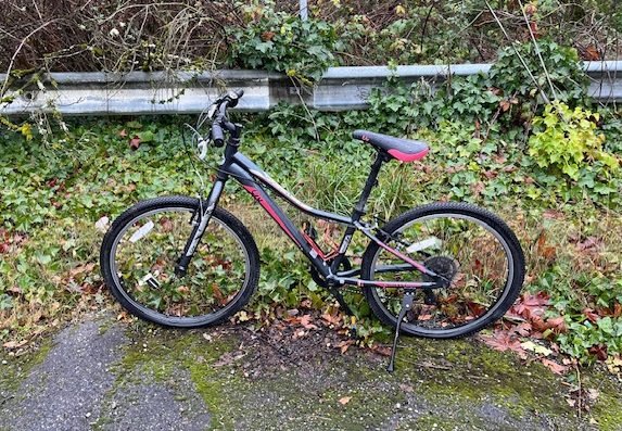 READER REPORTS: Two abandoned bicycles