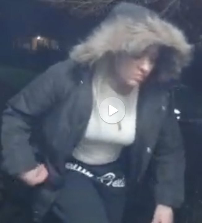 WEST SEATTLE CRIME WATCH: Package thief; drive-up car prowlers