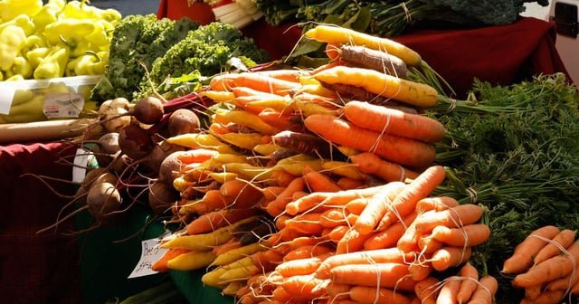 Thousands more in Seattle are getting money from the city to buy food