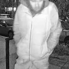 Gnome thief on the loose. Secure your gnomes!! (DO NOT IDENTIFY/LOCATE THIS MAN Rule 9)