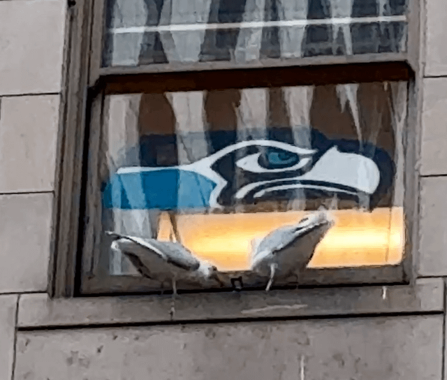 PSA: Keep an eye out for these two. Witnessed an attempted B&E on 5th ave.