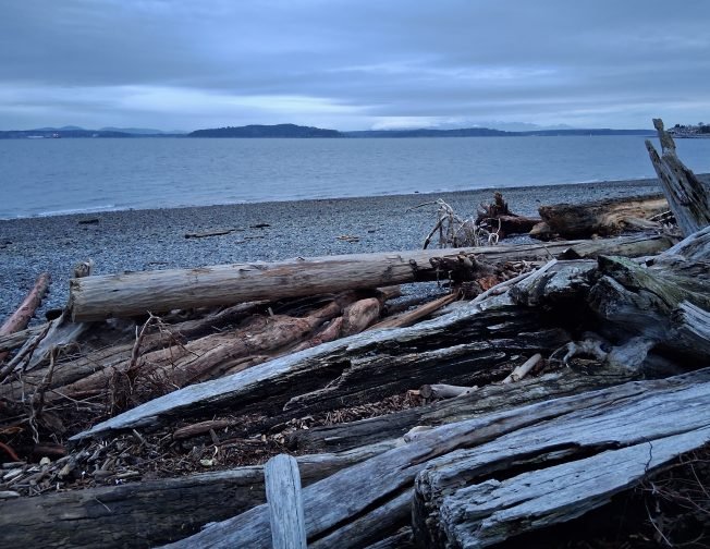 South Seattle College info, story time, Music Quiz, grief support, more for your West Seattle Monday