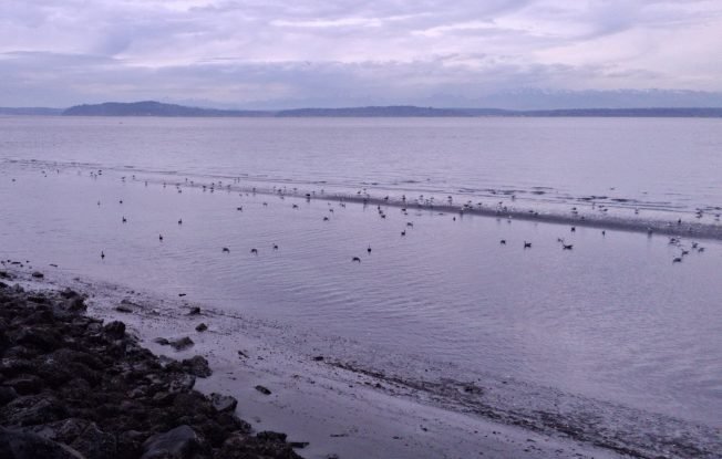 TRAFFIC , WEATHER, TRANSIT: Wednesday watch