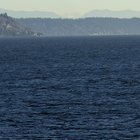 Mount Adams (100+ mi away) spotted from the Seattle to Bremerton ferry