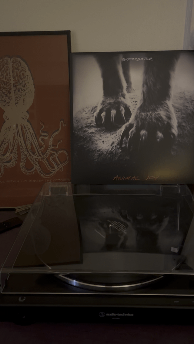 Favorite record store?