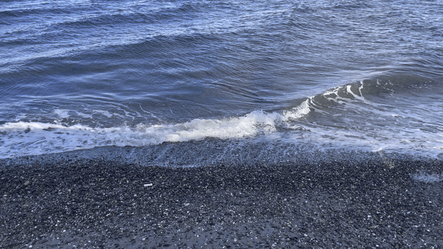 This morning at alki