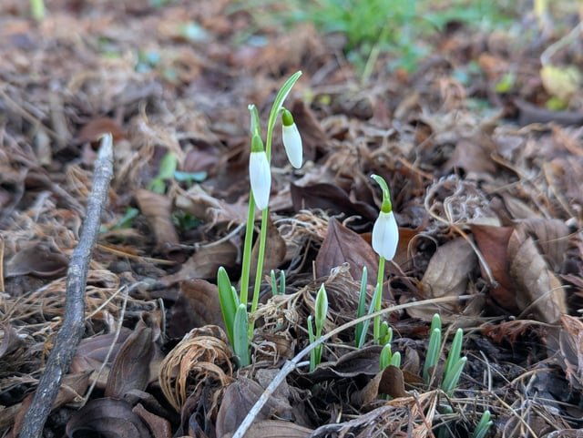 First of the year!!