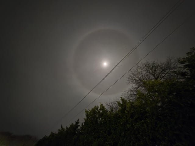 A brief step away from politics