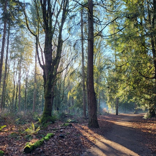 Beautiful day today at Woodland Park