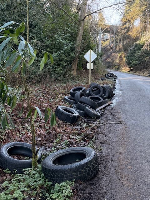 READER REPORT: Dozens of tires dumped in Fairmount Ravine