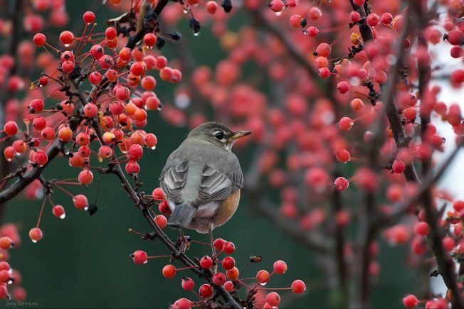 WEST SEATTLE SATURDAY: 23 things to know about!