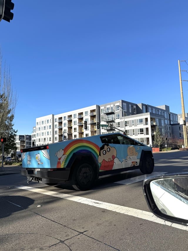 poor lady with a stroller had to walk into the intersection because of this thing