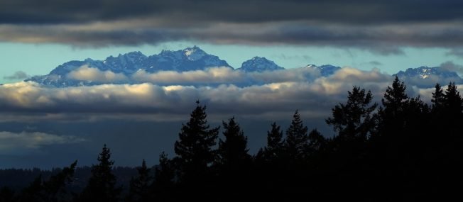 Here’s what’s happening on your West Seattle Friday!