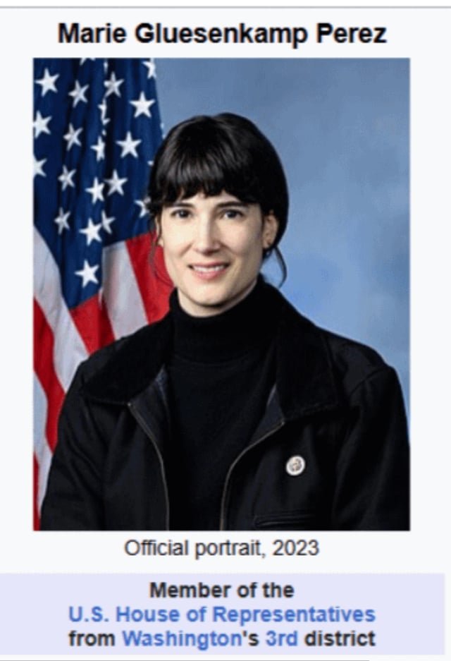 This nasty person voted to increase ice funding! We need to do better Washington