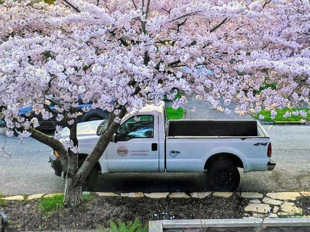 Truck stolen
