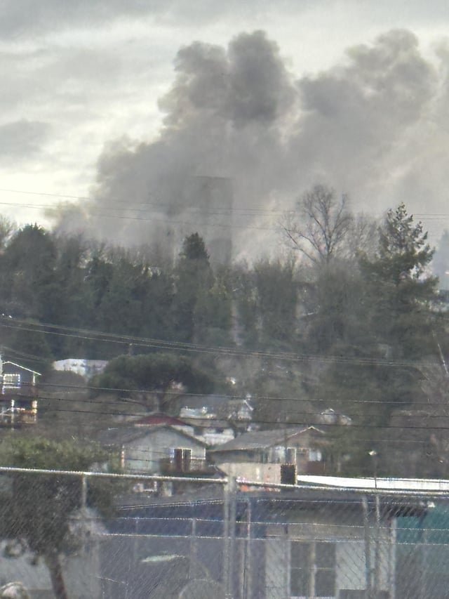Saw this fire from the bus