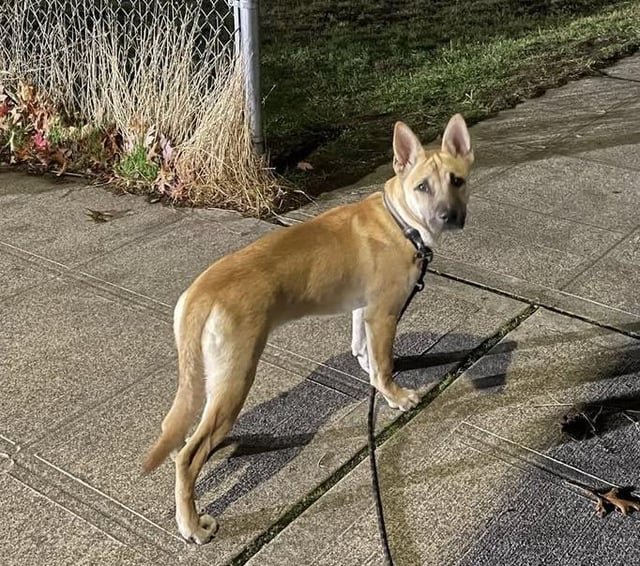 Anyone work at or have connections to the humane society?
