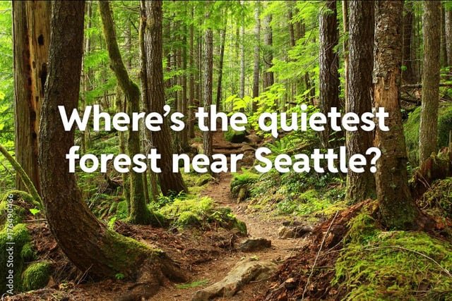 Silence near Seattle?