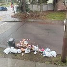 Neighbors put garbage on parking strip, what can I do?