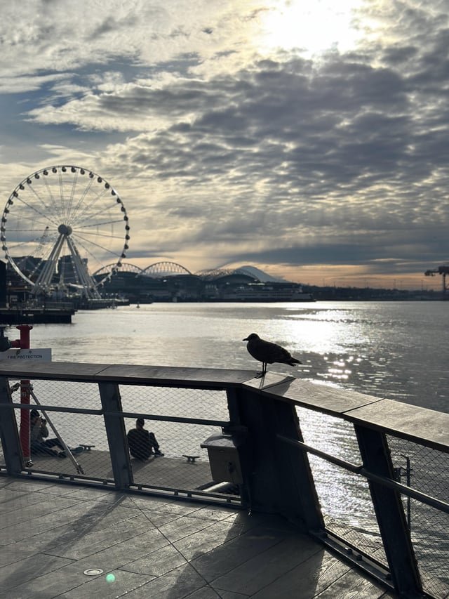 Morning at the piers!