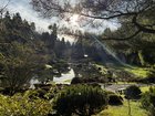 Snaps from around the city: Arboretum, UW, Pioneer Square, & Volunteer Park.