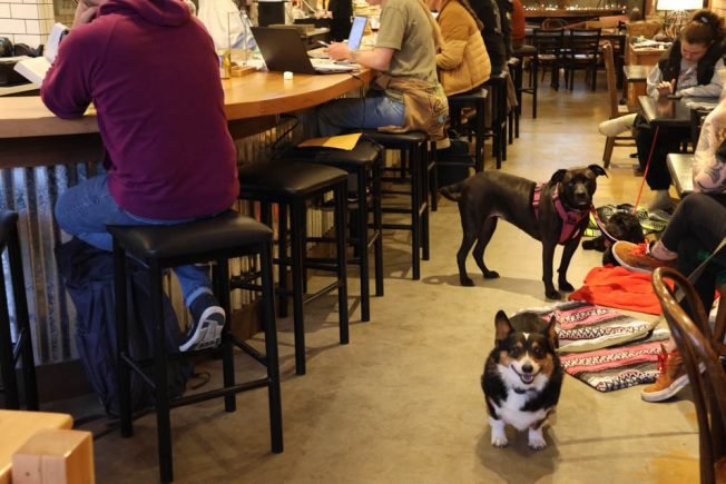 BIZNOTE FOLLOWUP: 10+ years in the making, The Hydrant is officially open