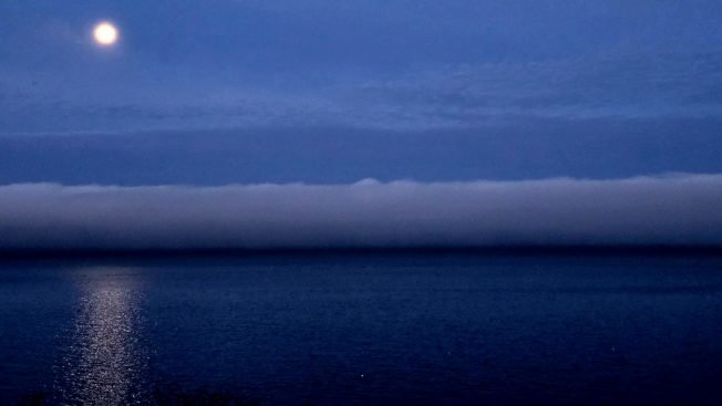 Pizza for preschool, running-shoe tryouts, games and more for your West Seattle Tuesday