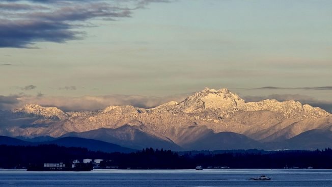 WEST SEATTLE SATURDAY: 29 notes!