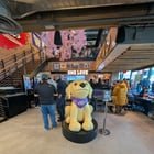 Rasing Canes looking good!