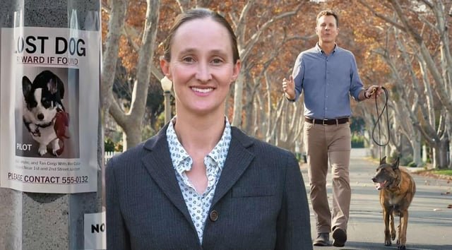 Mayor Wilson Opens Mind to Adding Surveillance Cameras After Hearing They Can Help Find Lost Dogs