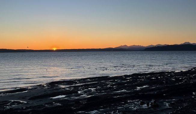 As for what else is happening on your West Seattle Wednesday….