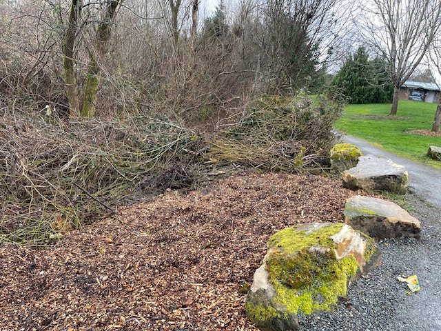Before Roxhill Bog celebration on Thursday, here’s what the excitement’s about