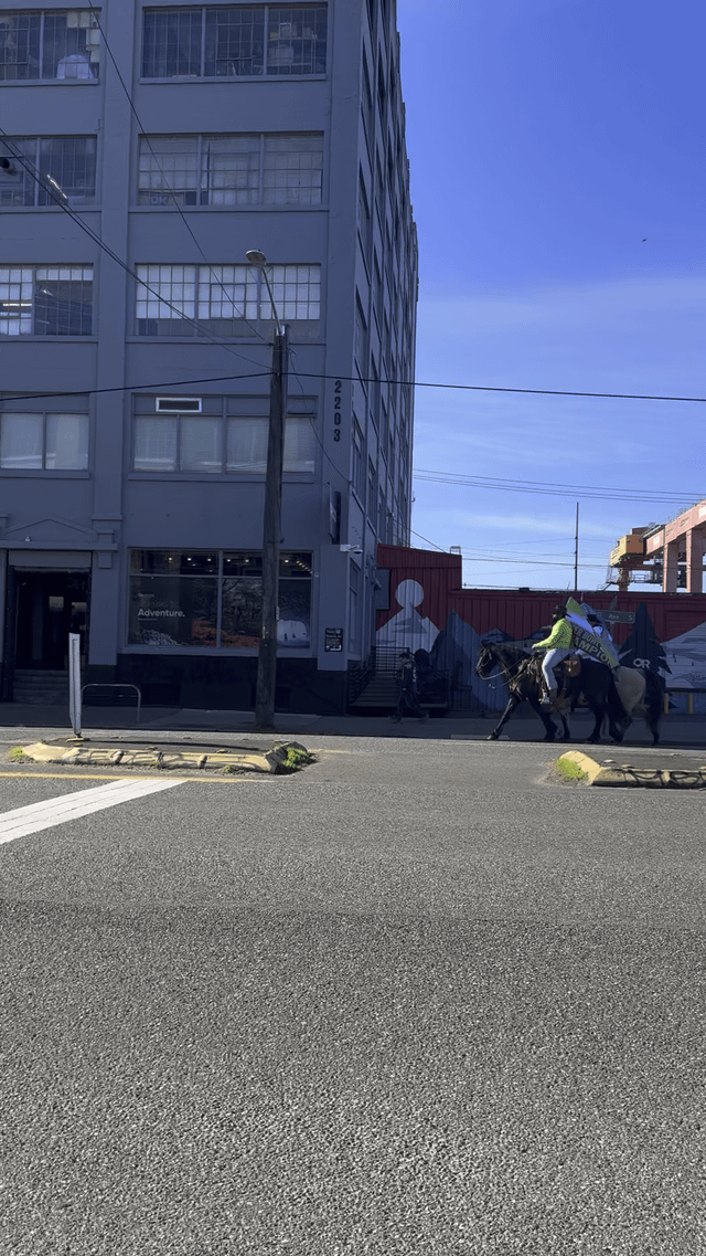 Saw these two gentlemen after the parade today