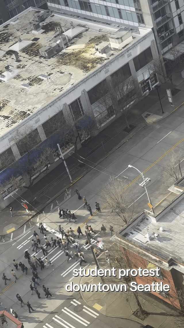 happy the sun came out for them