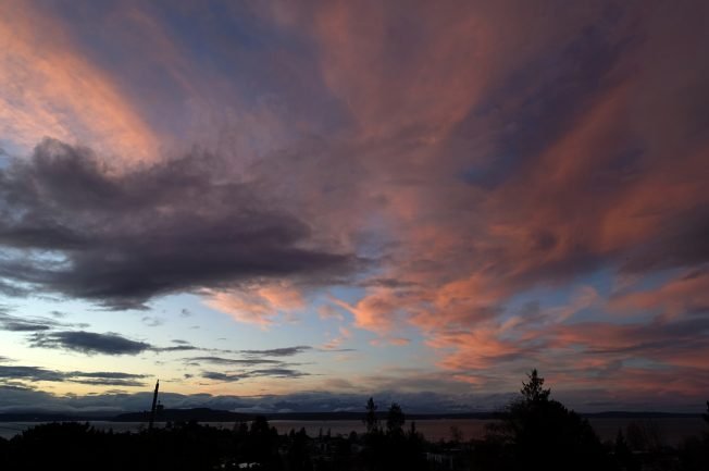 20 events for your West Seattle Tuesday!