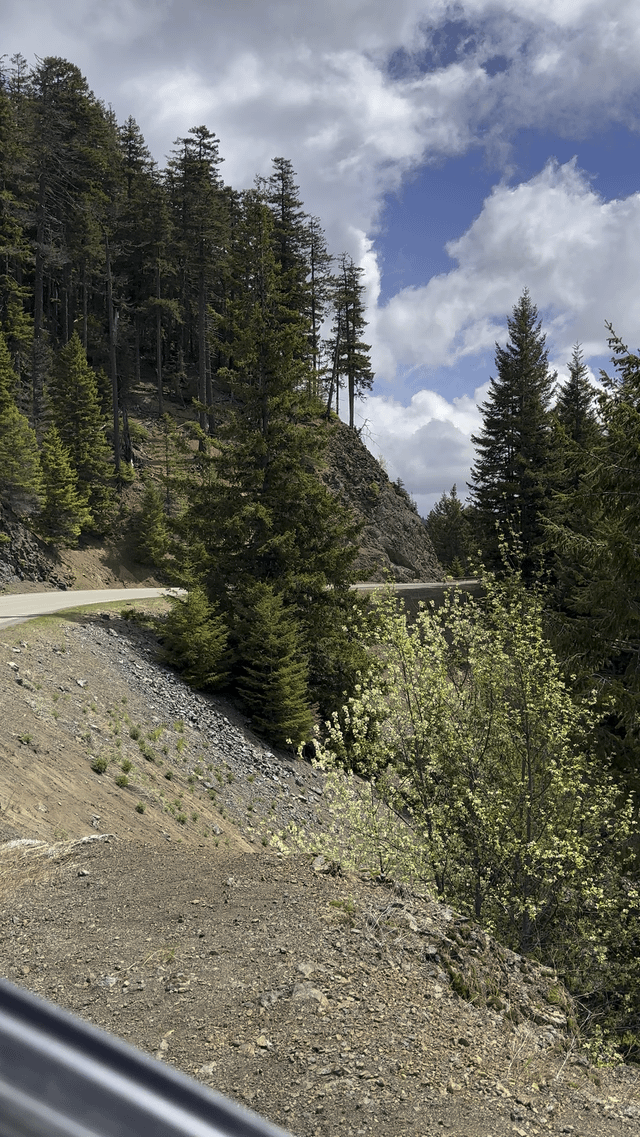 Sometimes I stop to think, am I providing enough value to the shareholders?