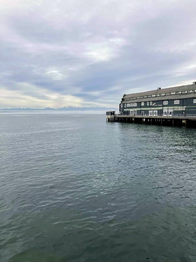 Mountains and fog from today