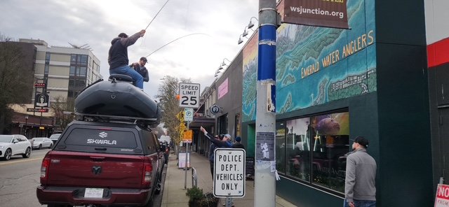 WEST SEATTLE SCENE: Fly fishing with no water in sight
