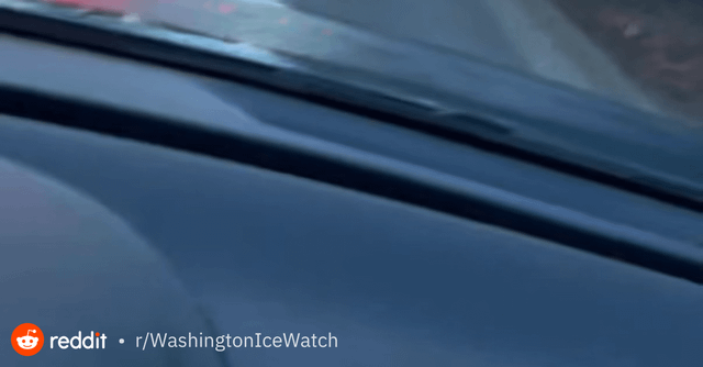 February 6, 7:49 AM ICE abduction in Bellevue along 148th