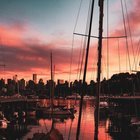 Sunset Report 2/5/26