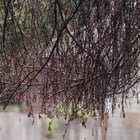 Seattle weather is back..yay