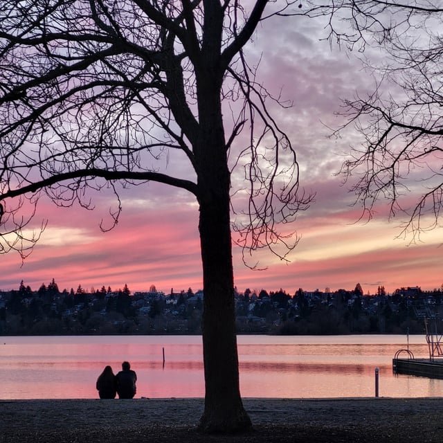 Happy Valentine’s Day Seattle