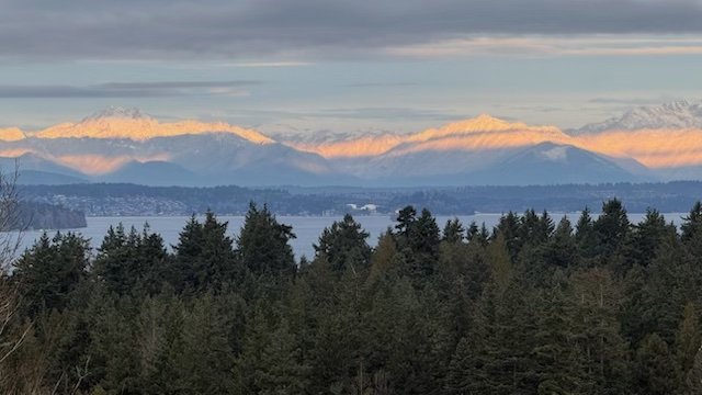 Celebrations at Washington State Black Legacy Institute and Roxhill Bog, plus more for your West Seattle Thursday