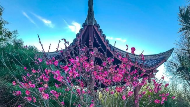 West Seattle Book Club, poetry slam, comedy competition, music, more for your Thursday