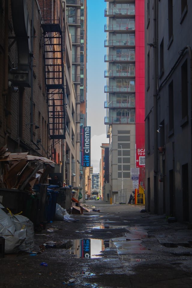 SIFF Cinema Alleyway (Feb 14, 2026)